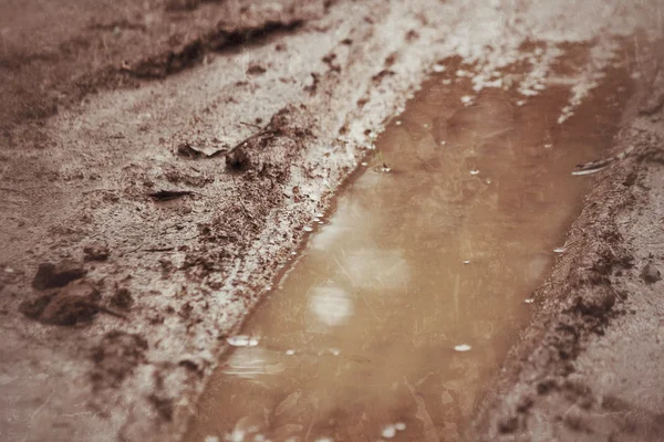 地面に車輪がついています. — ストック写真