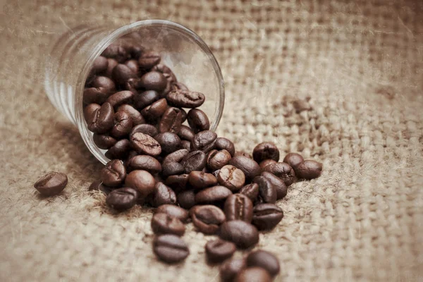 Roasted coffee beans Royalty Free Stock Photos