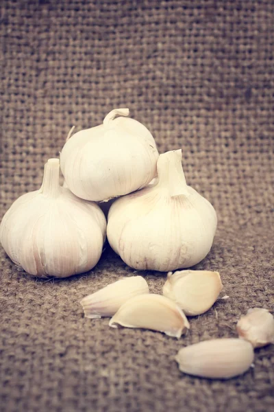 Garlic — Stock Photo, Image