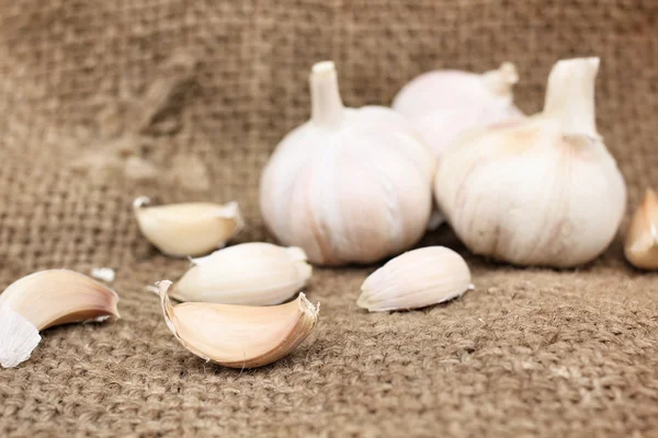 Garlic — Stock Photo, Image