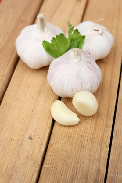 Garlic Royalty Free Stock Photos