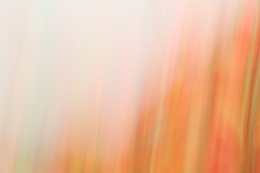 bulanık ışık rotalar