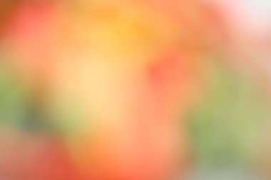 renkli arka plan bulanık