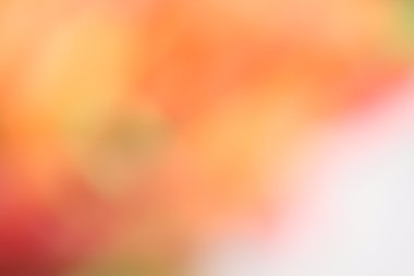 renkli arka plan bulanık