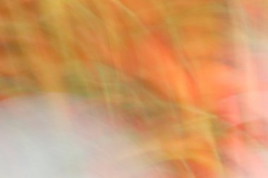 bulanık ışık rotalar