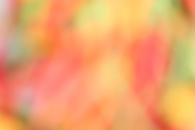 renkli arka plan bulanık