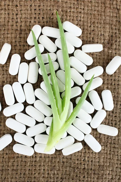 Aloe vera et pilules — Photo