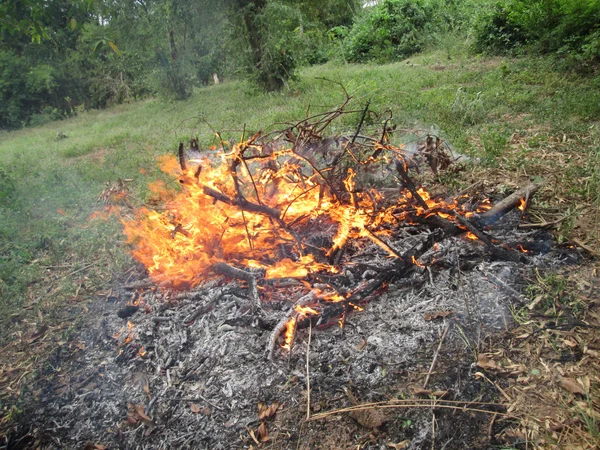 Fuego de hierba — Foto de Stock