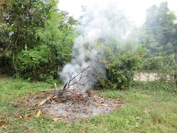 Fuego de hierba —  Fotos de Stock