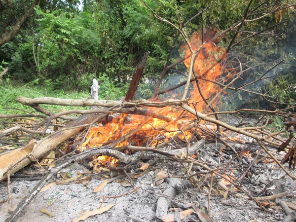 Brand van gras — Stockfoto