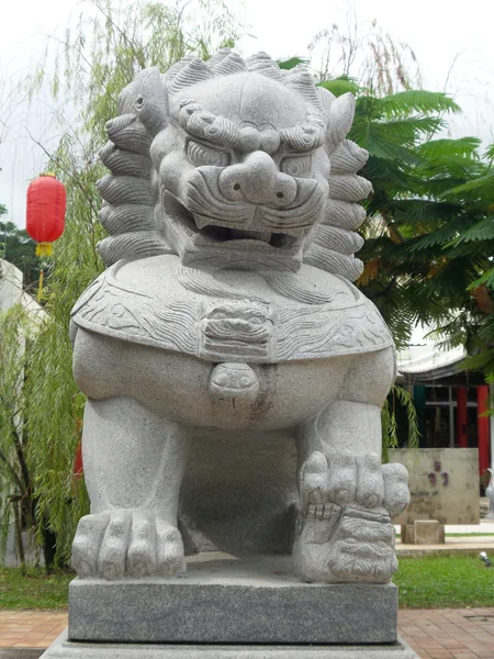 Chinesischer Löwe — Stockfoto