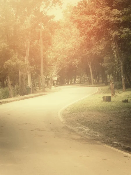 Δρόμος με δέντρα — Φωτογραφία Αρχείου