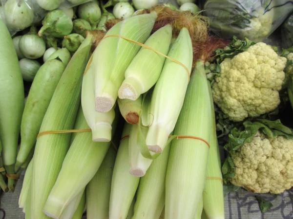 Fresh corn — Stock Photo, Image