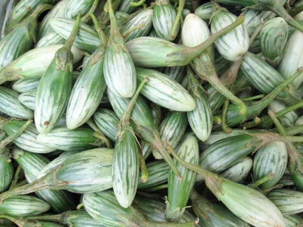 Fresh eggplant — Stock Photo, Image