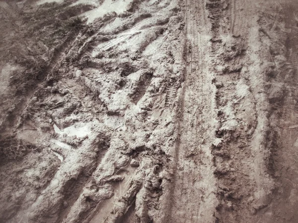 Wielsporen op de grond. — Stockfoto