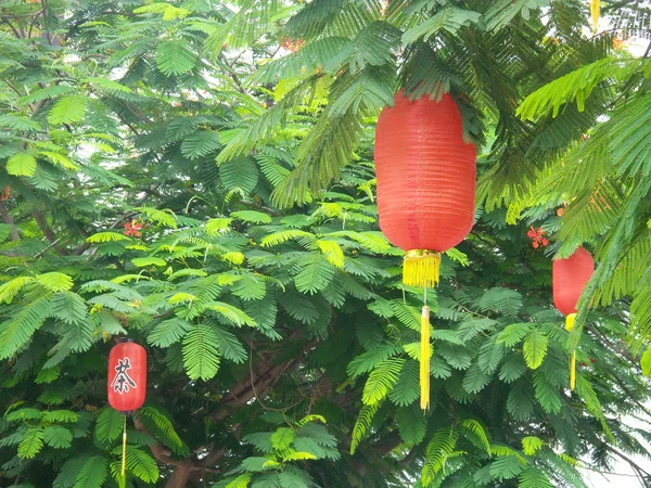 Lanternas chinesas durante o festival de ano novo — Fotografia de Stock