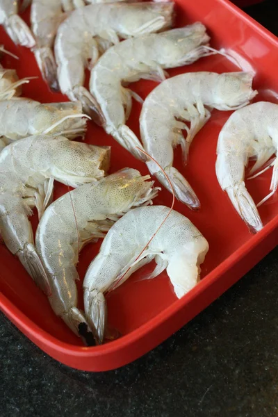 Udang segar. — Stok Foto