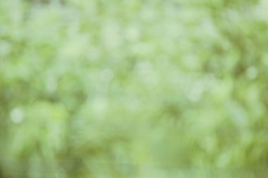 bulanık doğa arka plan