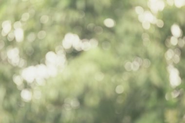 bulanık doğa arka plan