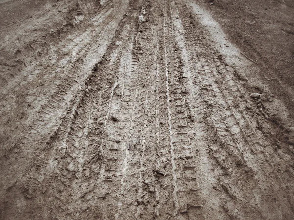 Wielsporen op de grond. — Stockfoto