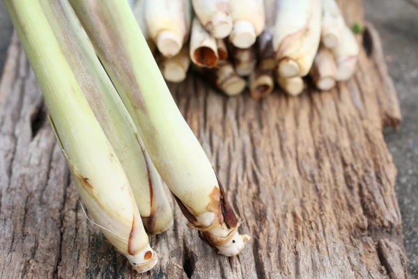 Zitronengras — Stockfoto