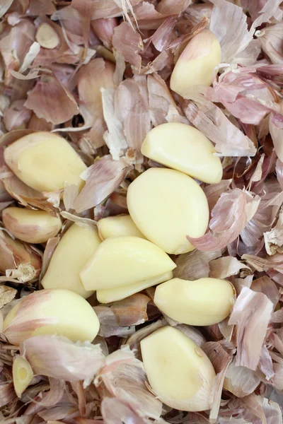 Garlic — Stock Photo, Image