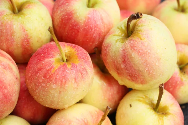 Manzanas rojas — Foto de Stock