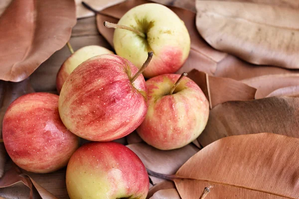 Manzanas rojas —  Fotos de Stock