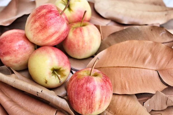 Manzanas rojas —  Fotos de Stock