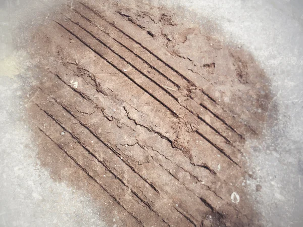 Wielsporen op de grond. — Stockfoto