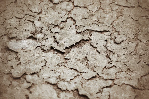 Cracked dry soil — Stock Photo, Image