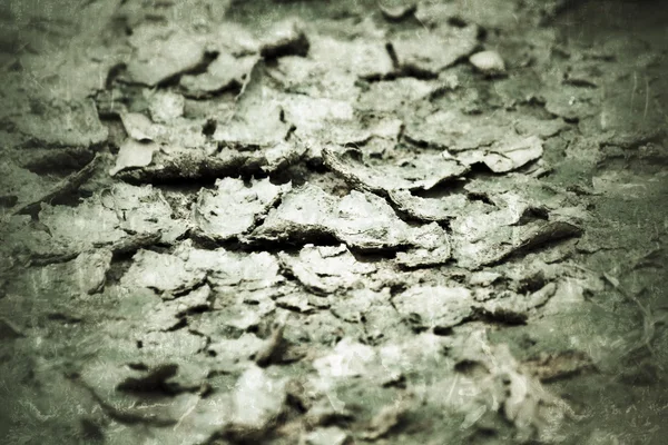 Cracked dry soil — Stock Photo, Image