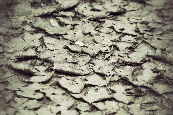 Cracked dry soil — Stock Photo, Image