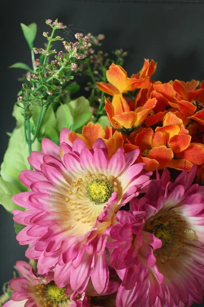 Beautiful chrysanthemum — Stock Photo, Image