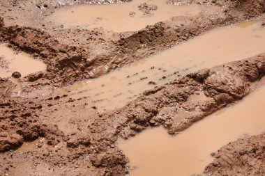 Topraktaki tekerlek izleri.