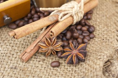 Kahve öğütücüsü. 