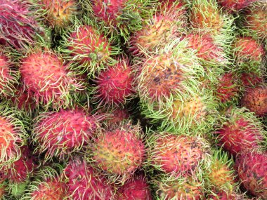 Tatlı meyve rambutan