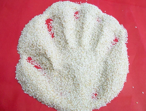 Surowy ryż ziarna — Zdjęcie stockowe
