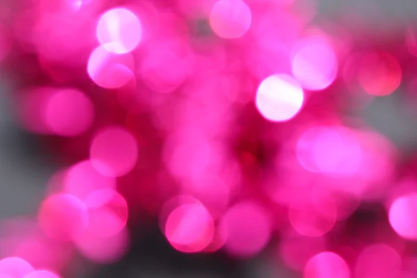 Rosa Bokeh — Foto de Stock