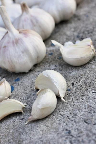 Knoblauch — Stockfoto