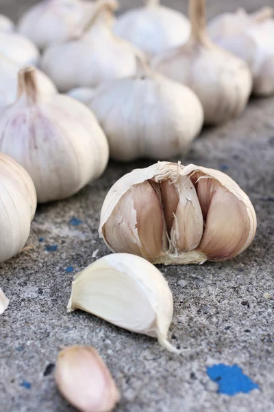 Knoblauch — Stockfoto