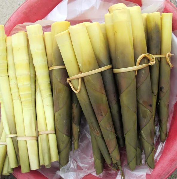 Brote de bambú — Foto de Stock