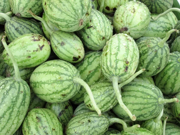 Watermelon — Stock Photo, Image