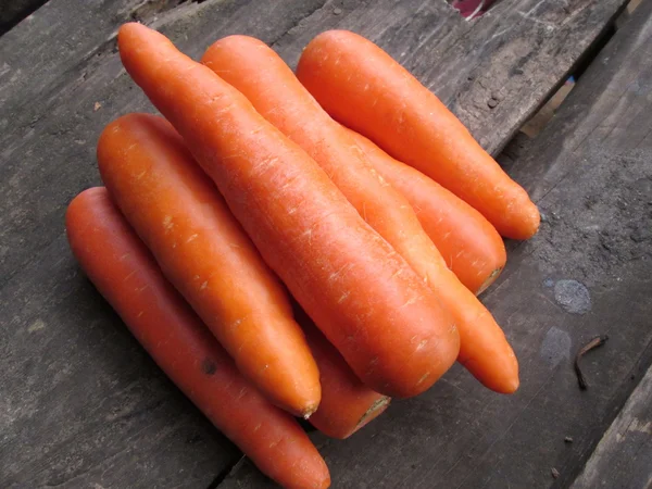 Морковь. — стоковое фото