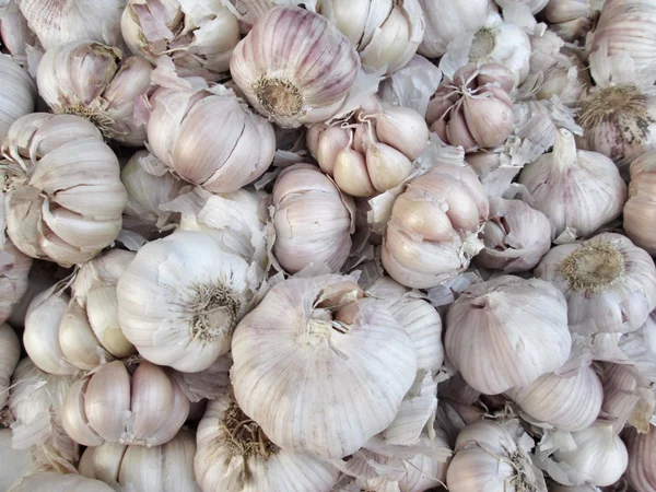 Garlic — Stock Photo, Image