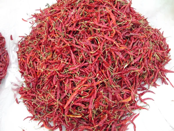 Dried chili — Zdjęcie stockowe
