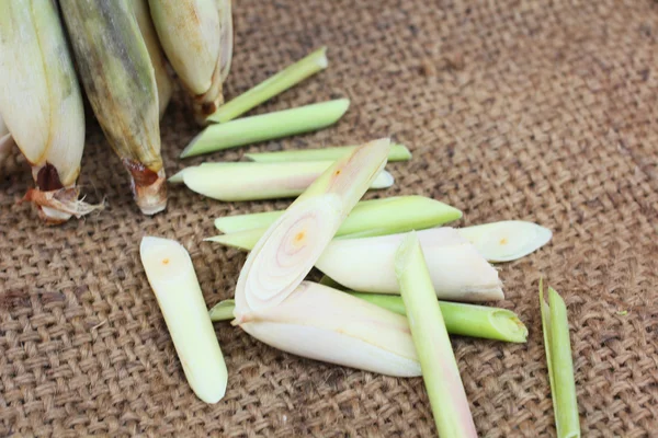 Lemon grass — Stock Photo, Image