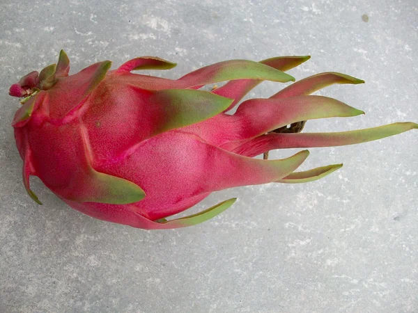 Dragon fruit. — Stock Photo, Image