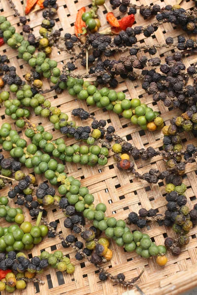 Peppercorns — Stock fotografie