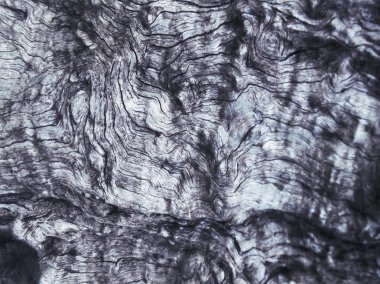 eski ahşap arka plan